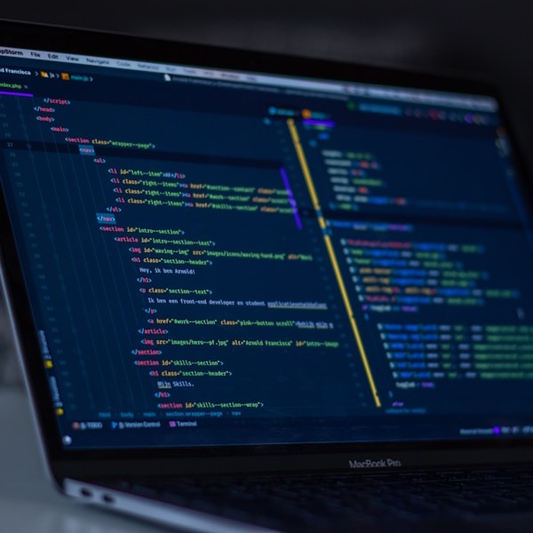 Software & IT Solutions Division